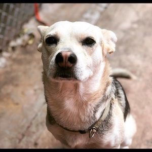 Meet your Posher, Jonathan